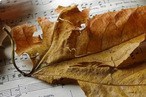 Herbstferien - Übungstipps